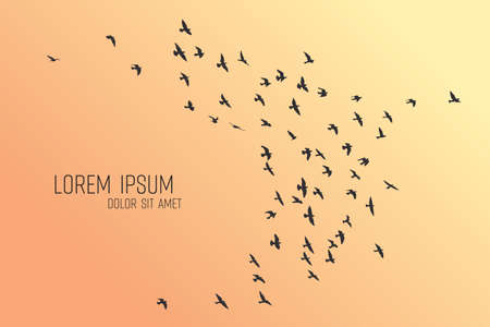 Silhouette of a flock of flying birdsのイラスト素材