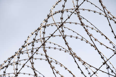 Barbed wire on country borderの写真素材