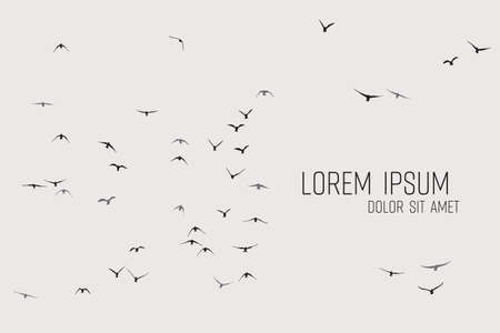 Silhouette of a flock of flying birdsのイラスト素材