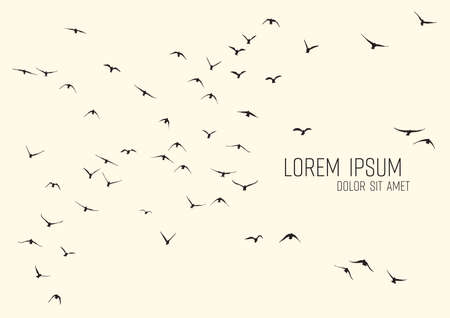 Silhouette of a flock of flying birdsのイラスト素材