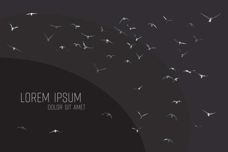 Silhouette of a flock of flying birdsのイラスト素材