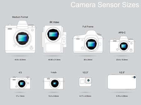 Camera Sensor Size Photography Guideのイラスト素材