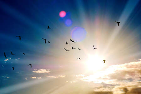 Shining sun at clear blue skyの写真素材