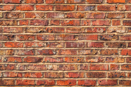 brick wall of red color