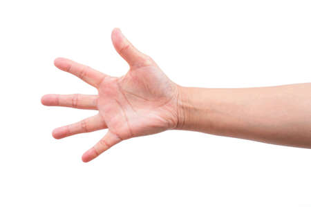 female hand isolated on white backgroundの写真素材