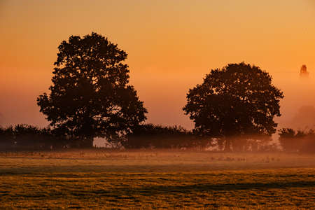 Twilight sky and cloud at sunrise background imageの写真素材