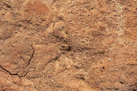 Close up of the texture of the soil. Background and texture.の写真素材