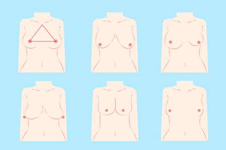 cartoon different chest shape on the blue backgroundのイラスト素材