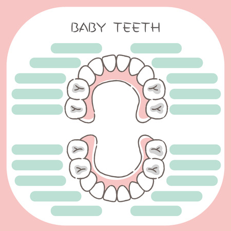 cute cartoon baby tooth on the white backgroundのイラスト素材