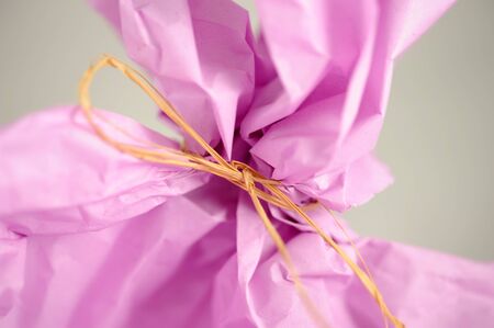 lilac wrapping paper and a bow of bastの写真素材