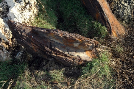 Ancient corroded anchor, lying in the grass near a rockの写真素材