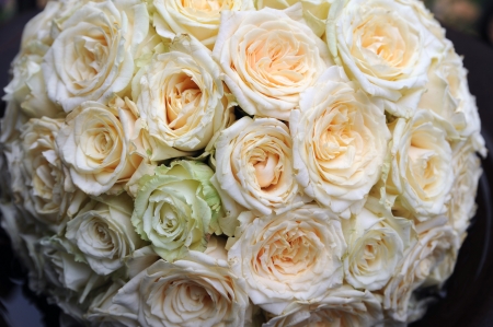 wreath of yellow rosesの写真素材