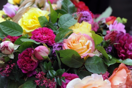 colorful bouquet with rosesの写真素材