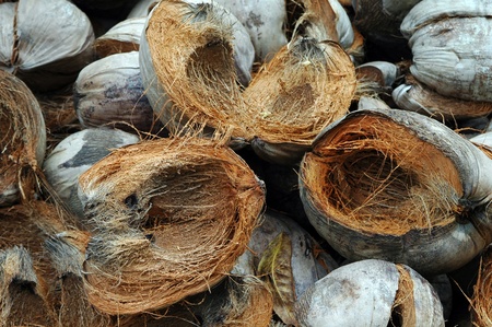 pile of smashed coconut shells