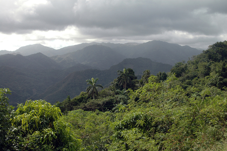 Rainy Day in the mountains of Sierra Maestra, Cubaの写真素材