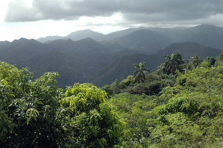 Rainy Day in the mountains of Sierra Maestra, Cubaの写真素材