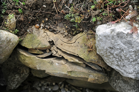 damaged rock in a wall with lots of cracksの写真素材