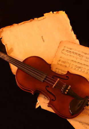 Violinの写真素材