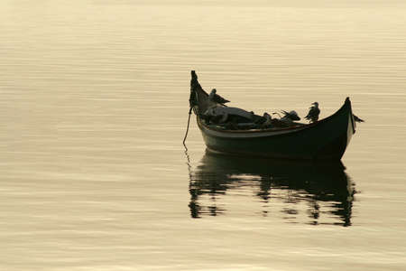 The boat and the seagullsの写真素材