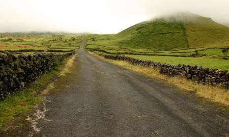 Foggy roadの写真素材