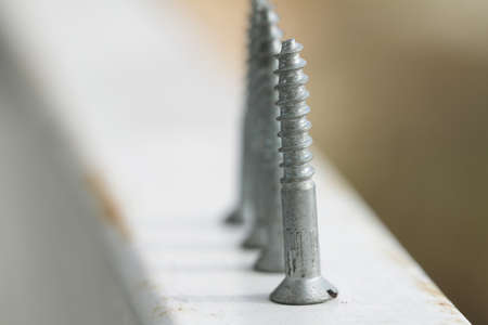 Vector illustration of screws