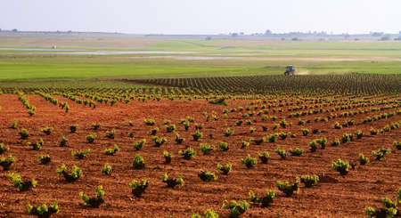 Farming tractor plowing and spraying fields