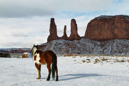 The majestic Monument Valley in winterの写真素材