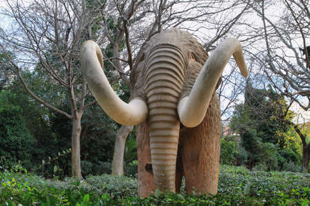 Mammoth statue in Ciutadella Park, Barcelonaの写真素材