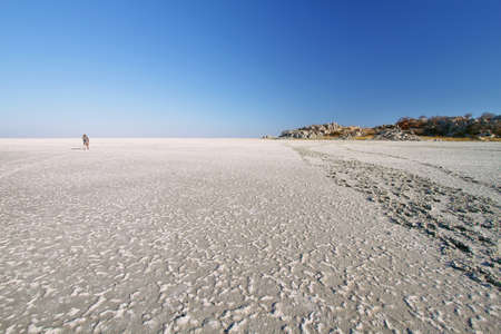 Salt lake around Kubu island in winter, Botswanaの写真素材
