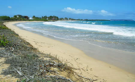 White sand beach in Isabela island with Puerto Villamil at background, Galapagos Islands, Ecuadorの写真素材