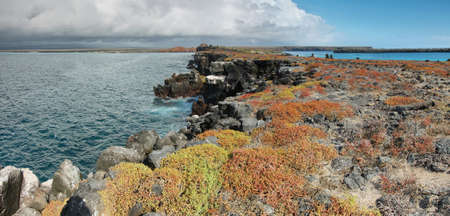 Panoramic view of South Plaza island, Galapagos, Ecuadorの写真素材