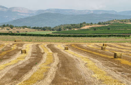 Reaped wheat fields in La Noguera, Lleida, Spain