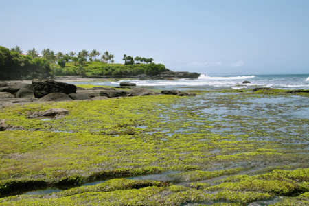 Lush seascape in the surroundings of Pura Tanah Lot Temple in Bali, Indonesia.の写真素材
