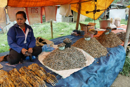 FLORES, INDONESIA-SEPTEMBER 22: woman of minority ethnic group selling dry fish in the colorful market of Moni on September 22, 2009 in Moni, Flores, Indonesia.のeditorial素材