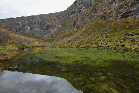 Asbyrgi canyon in Jokulsargljufur national park, Iceland.の写真素材