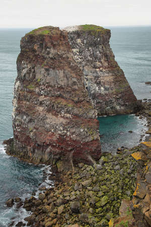 Cliffs in Raudinupur, northeast of Iceland, very close to imagine line of Polar circleの写真素材