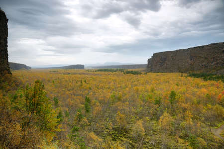 Eyjan rock in Asbyrgi. Asbyrgi is a horseshoe-shaped canyon in Jokulsargljufur national park, Iceland.の写真素材