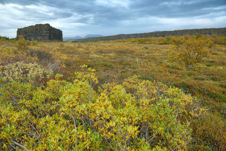 Eyjan rock in Asbyrgi. Asbyrgi is a horseshoe-shaped canyon in Jokulsargljufur national park, Iceland.の写真素材