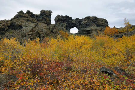 Shaped lava fields of Dimmuborgir area, east of Myvatn in Icelandの写真素材