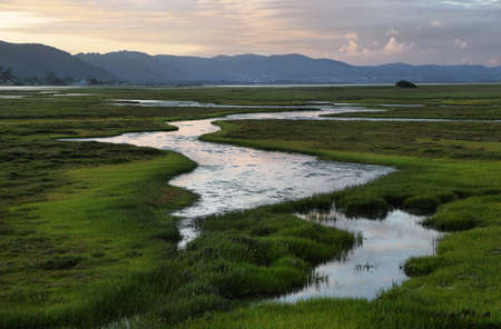 Knysna wetlands at sunset, South Africaの写真素材