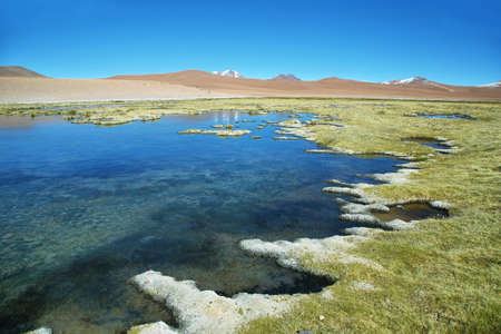 Quepiaco lagoon known as Vegas de Quepiaco in Atacama desert, Chileの写真素材
