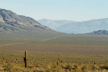 Los Cardones national park in northern Argentinaの写真素材