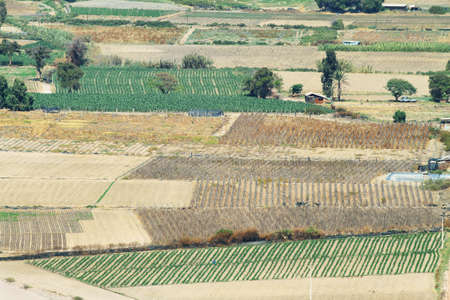 Lluta Valley in northern Chile between Lauca National Park and the city of Aricaの写真素材