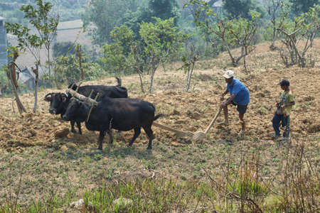 BANDIPUR, NEPAL - APRIL 9 2016: people plowing the dry lands with a couple of water buffaloes in Bandipur, Nepal.のeditorial素材