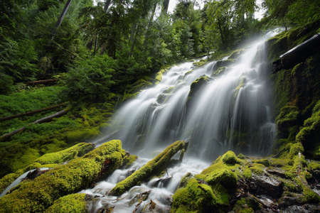 Beautiful Proxy falls in Mc Kenzie pass, Oregon.の写真素材