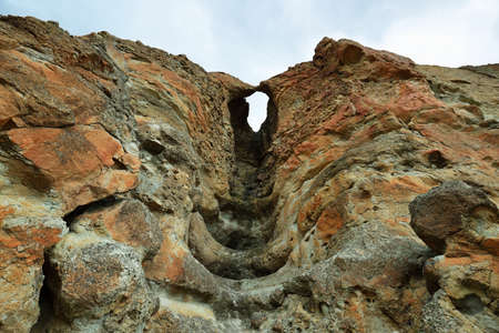 Fossil of a tree in Palisades rocks, Clarno Unit of John Day Fossil Beds national monument, Oregonの写真素材