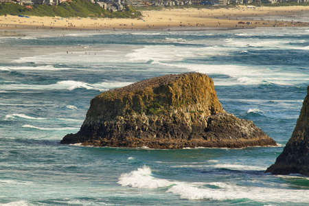 View of curious rocks in Ecola state park, Oregon, USAの写真素材