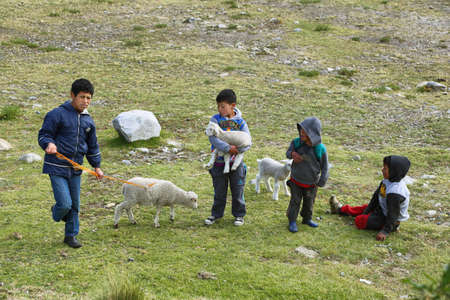 Ancash, Peru - June 10, 2017: boys with small sheeps in the meadows in the way to Huanuco in Ancash province, Peru.のeditorial素材