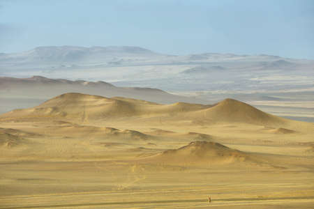 Sand dunes in Paracas Reserve desert, Peru.の写真素材