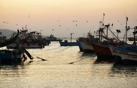Paracas, Peru - June 15, 2017: Peruvian pelican and boats in Paracas pier at sunset in Paracas, Ica, Peruのeditorial素材